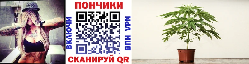Купить наркотики цена Среднеуральск КОКАИН  МАРИХУАНА  Alpha-PVP  Гашиш  Псилоцибиновые грибы  МЕФ 