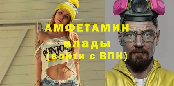прущие грибы Беломорск