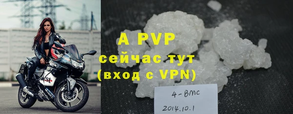 прущие грибы Беломорск