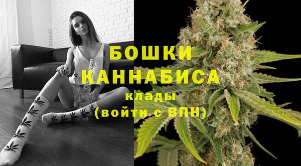a pvp Белокуриха