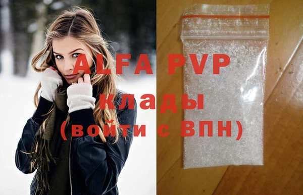прущие грибы Беломорск