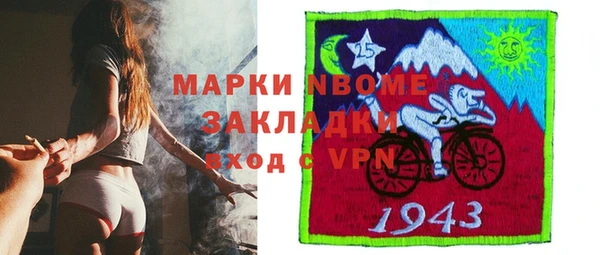 прущие грибы Беломорск