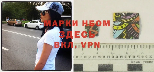 прущие грибы Беломорск