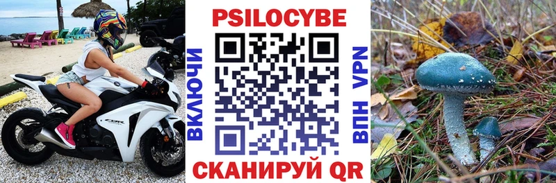 Псилоцибиновые грибы Cubensis  Среднеуральск 