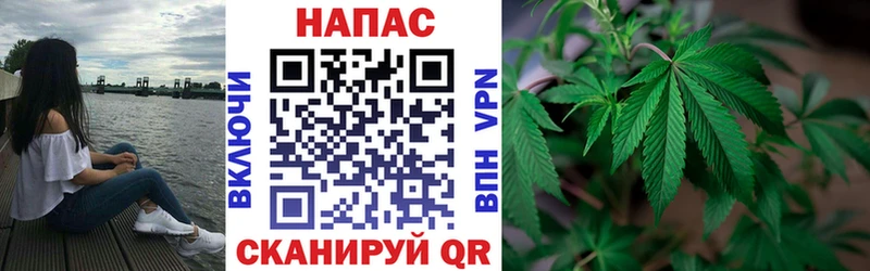 где купить наркоту  Среднеуральск  Бошки Шишки SATIVA & INDICA 